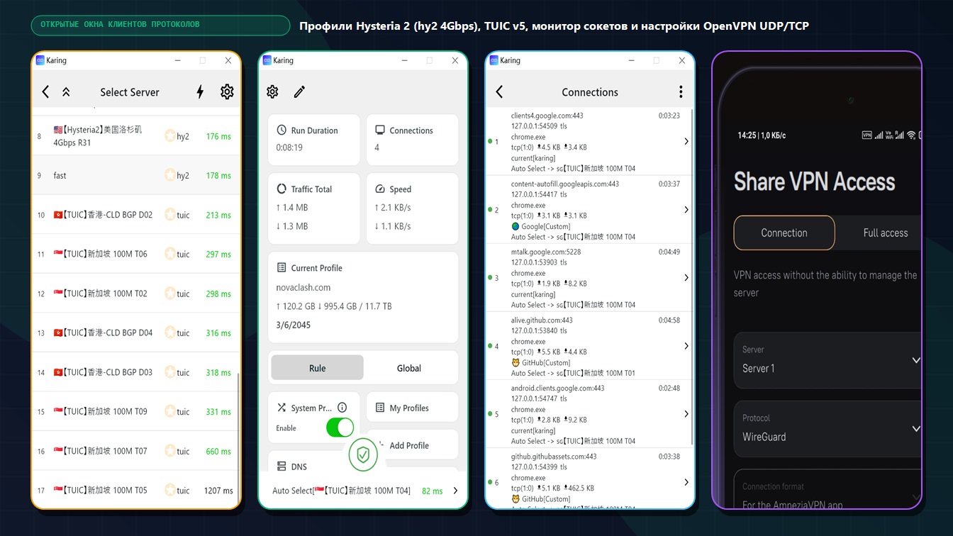 Реальные открытые окна клиентов Karing (профили Hysteria 2 4Gbps hy2 и TUIC) и AmneziaVPN (настройки OpenVPN и DNS)