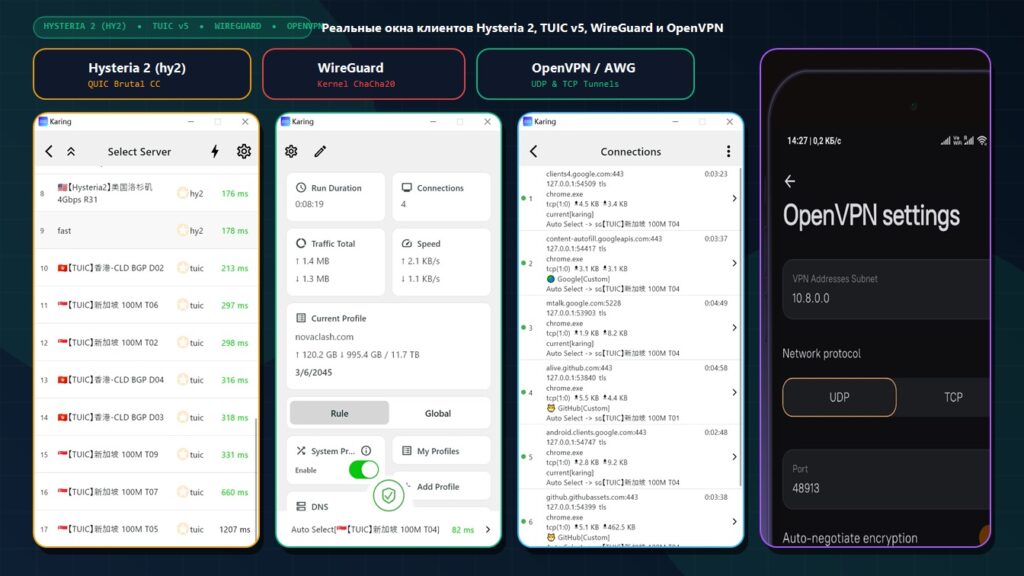 Реальные скриншоты мультипротокольного клиента Karing (профили Hysteria 2 4Gbps hy2 и TUIC) и настроек OpenVPN / DNS в AmneziaVPN
