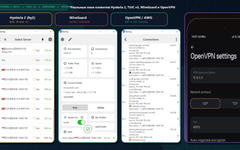 Реальные скриншоты мультипротокольного клиента Karing (профили Hysteria 2 4Gbps hy2 и TUIC) и настроек OpenVPN / DNS в AmneziaVPN