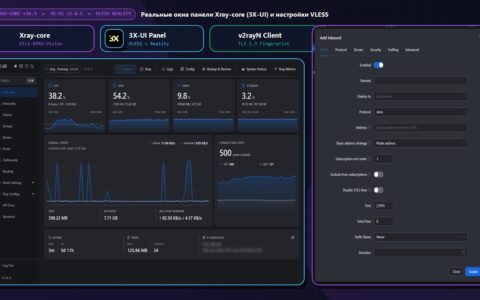Реальные открытые окна панели управления Xray-core (3X-UI v3.8.5): мониторинг узла и создание входящего подключения VLESS